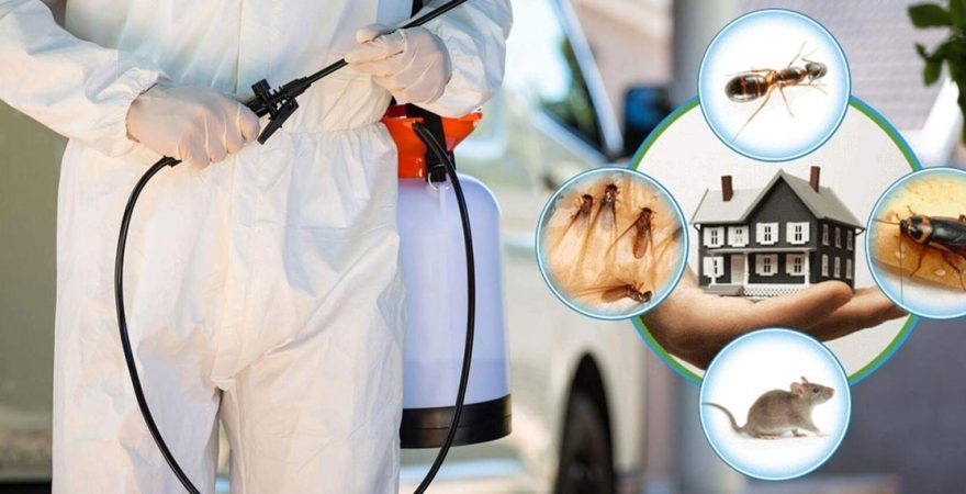 Alaçatı Böcek İlaçlama