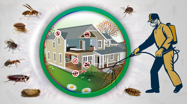 Alaçatı Böcek İlaçlama