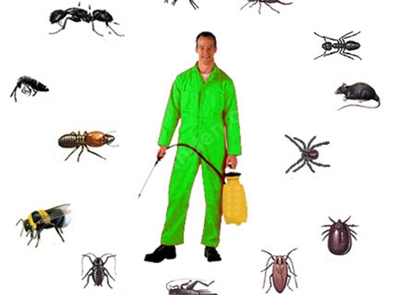 Alaçatı Böcek İlaçlama